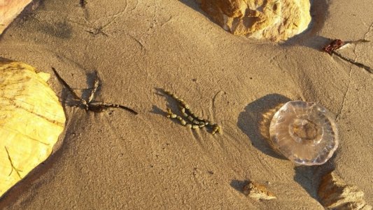 20200529 161212 scaled 20200529 161212 scaled