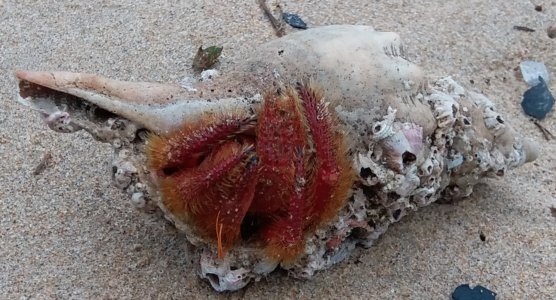 20200601 211257 20200601 211257