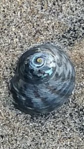 20200603 133423 20200603 133423