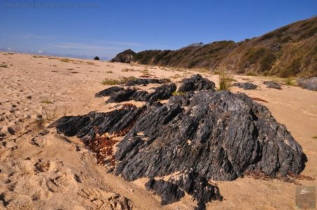 Billys Beach and Corunna Point.037 12h56m48s2020 06 27