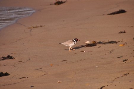 DSC 0074 scaled DSC 0074 scaled