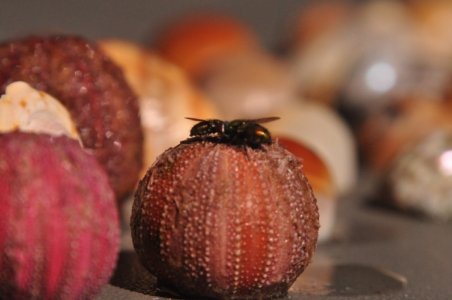 DSC 0807 scaled DSC 0807 scaled