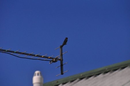 DSC 0867 scaled DSC 0867 scaled