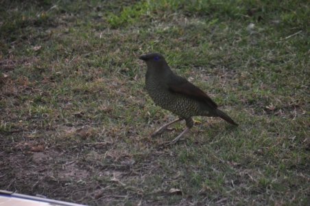 DSC 0894 scaled DSC 0894 scaled