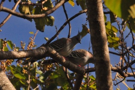 DSC 0937 scaled DSC 0937 scaled