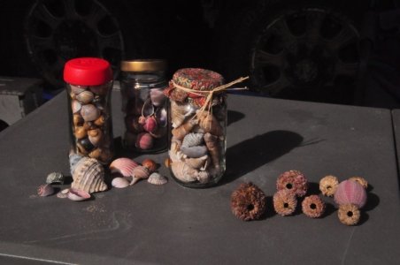 DSC 0961 scaled DSC 0961 scaled