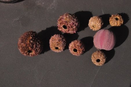 DSC 0962 scaled DSC 0962 scaled