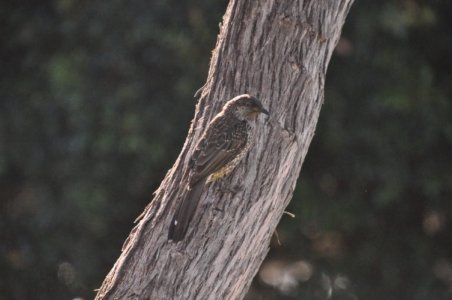 DSC 0986 scaled DSC 0986 scaled