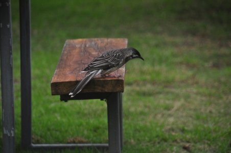 Eden in April.026 12h57m34s2020 04 09 scaled Eden in April.026 12h57m34s2020 04 09 scaled