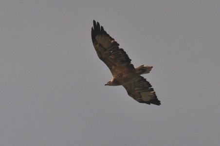 Eden in March.014sh 13h56m06s2020 03 28 Eden in March.014sh 13h56m06s2020 03 28