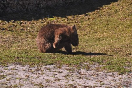 Green Cape.005 13h09m40s2020 06 09 Green Cape.005 13h09m40s2020 06 09