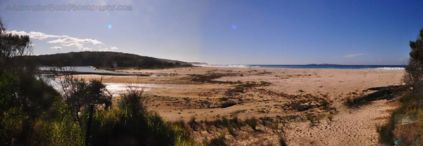 Loader Beach