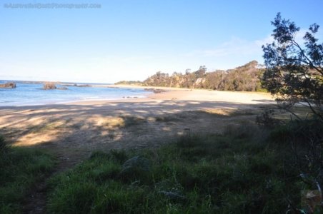 Mystery Bay.004 15h18m59s2020 06 23 Mystery Bay.004 15h18m59s2020 06 23