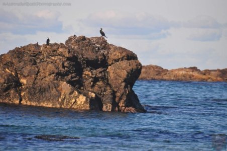 Mystery Bay.008 15h20m25s2020 06 23 Mystery Bay.008 15h20m25s2020 06 23
