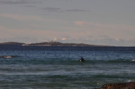 Mystery Bay.014 15h27m34s2020 06 23 Mystery Bay.014 15h27m34s2020 06 23