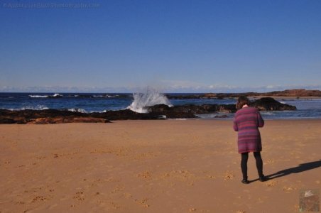 Mystery Bay.015 15h29m47s2020 06 23 Mystery Bay.015 15h29m47s2020 06 23