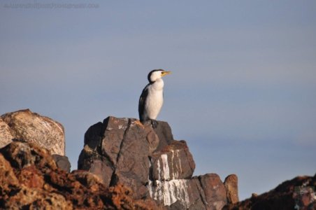 Mystery Bay.025 15h39m32s2020 06 23 Mystery Bay.025 15h39m32s2020 06 23