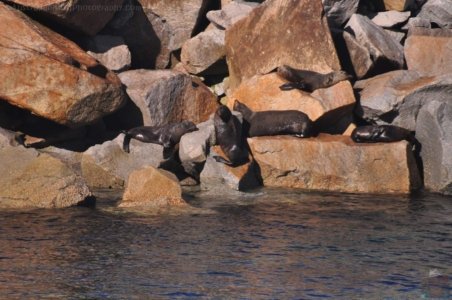 Narooma.064 13h35m02s2020 06 25 Narooma.064 13h35m02s2020 06 25