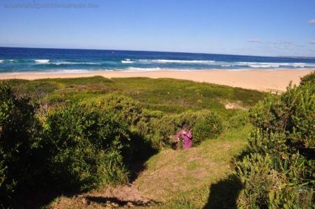 Tilba Ditrict Cemetery and Beach.014 13h07m36s2020 06 26 Tilba Ditrict Cemetery and Beach.014 13h07m36s2020 06 26