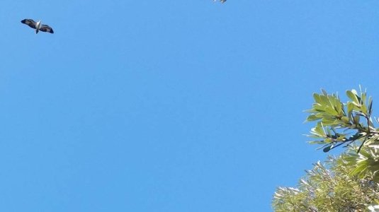 Burrewarra Point.001 12h28m09s2020 07 03 Burrewarra Point.001 12h28m09s2020 07 03