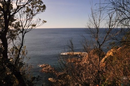 Burrewarra Point.004 12h43m29s2020 07 03 Burrewarra Point.004 12h43m29s2020 07 03