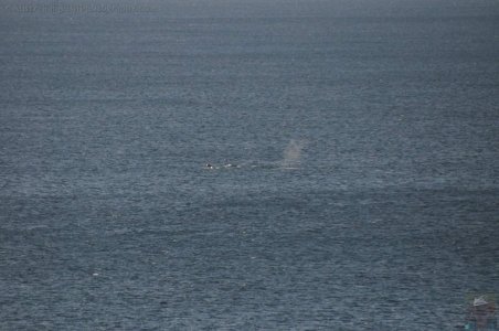 Burrewarra Point.008pz 13h01m17s2020 07 03 Burrewarra Point.008pz 13h01m17s2020 07 03