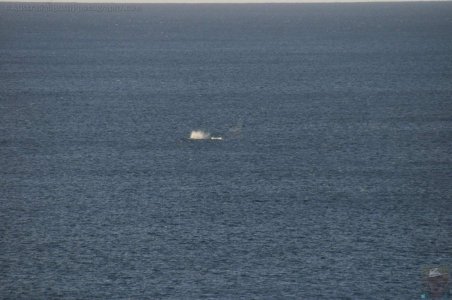 Burrewarra Point.013pz 13h08m00s2020 07 03 Burrewarra Point.013pz 13h08m00s2020 07 03