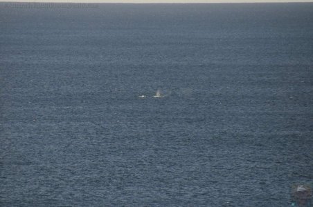 Burrewarra Point.014pz 13h08m01s2020 07 03 Burrewarra Point.014pz 13h08m01s2020 07 03