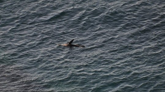 Burrewarra Point.046 13h43m04s2020 07 03 Burrewarra Point.046 13h43m04s2020 07 03