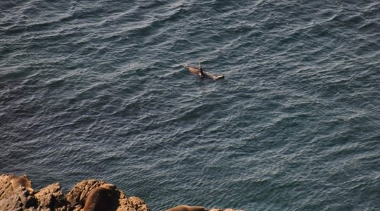 Burrewarra Point.050 13h44m36s2020 07 03 Burrewarra Point.050 13h44m36s2020 07 03