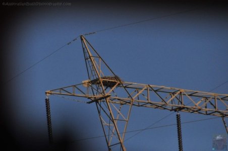 Clyde River Cruise Batemans Bay.009 12h57m14s2020 07 01 Clyde River Cruise Batemans Bay.009 12h57m14s2020 07 01