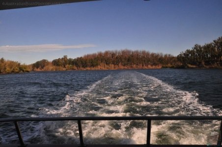 Clyde River Cruise Batemans Bay.011 13h30m15s2020 07 01 1 Clyde River Cruise Batemans Bay.011 13h30m15s2020 07 01 1