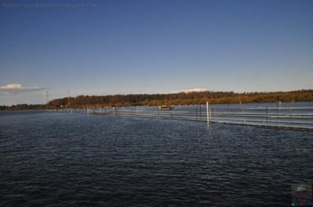 Clyde River Cruise Batemans Bay.026 15h24m31s2020 07 01 Clyde River Cruise Batemans Bay.026 15h24m31s2020 07 01