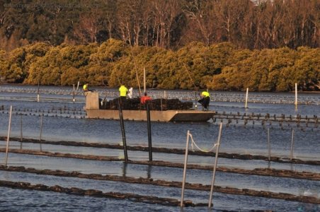 Clyde River Cruise Batemans Bay.027 15h24m34s2020 07 01 Clyde River Cruise Batemans Bay.027 15h24m34s2020 07 01