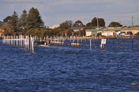 Clyde River Cruise Batemans Bay.031 15h29m41s2020 07 01 Clyde River Cruise Batemans Bay.031 15h29m41s2020 07 01