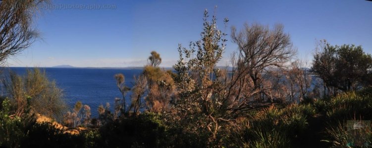 Coastline South from Burrewarra Point Coastline South from Burrewarra Point