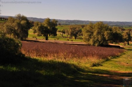 Cowra POW Camp.015 12h06m12s2020 07 17 Cowra POW Camp.015 12h06m12s2020 07 17