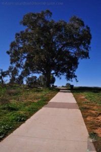 Cowra POW Camp.024 12h28m09s2020 07 17 Cowra POW Camp.024 12h28m09s2020 07 17