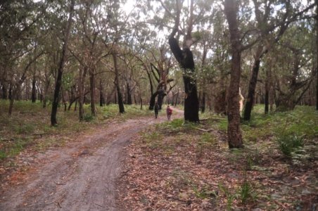 DSC 0872 1 DSC 0872 1