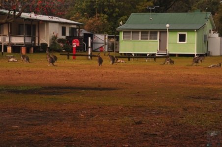 DSC 0881 1 DSC 0881 1