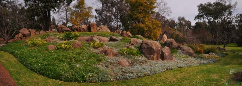 Japanese Gardens Central planting Japanese Gardens Central planting