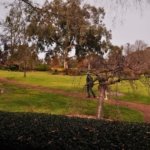 Japanese Gardens Cowra.004 11h58m30s2020 07 18