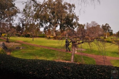 Japanese Gardens Cowra.004 11h58m30s2020 07 18 Japanese Gardens Cowra.004 11h58m30s2020 07 18