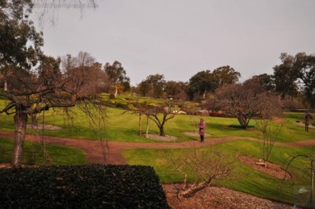 Japanese Gardens Cowra.005 11h58m33s2020 07 18 Japanese Gardens Cowra.005 11h58m33s2020 07 18