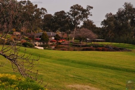 Japanese Gardens Cowra.010 12h02m02s2020 07 18 Japanese Gardens Cowra.010 12h02m02s2020 07 18