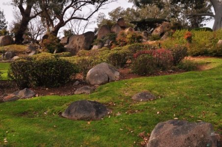 Japanese Gardens Cowra.011 12h03m17s2020 07 18 Japanese Gardens Cowra.011 12h03m17s2020 07 18