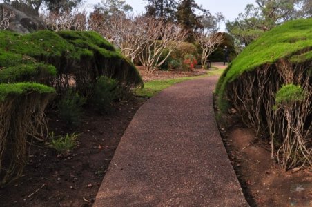 Japanese Gardens Cowra.012 12h03m58s2020 07 18 Japanese Gardens Cowra.012 12h03m58s2020 07 18