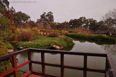 Japanese Gardens Cowra.016 12h05m45s2020 07 18 Japanese Gardens Cowra.016 12h05m45s2020 07 18