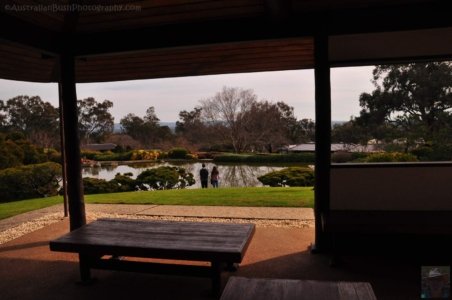 Japanese Gardens Cowra.019 12h08m21s2020 07 18 Japanese Gardens Cowra.019 12h08m21s2020 07 18