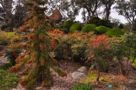 Japanese Gardens Cowra.022 12h12m22s2020 07 18 Japanese Gardens Cowra.022 12h12m22s2020 07 18